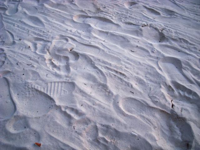 This Is Why Beaches Suck