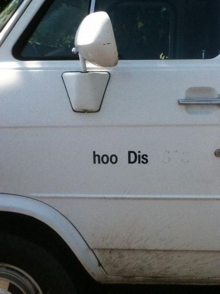 Morning Picdump
