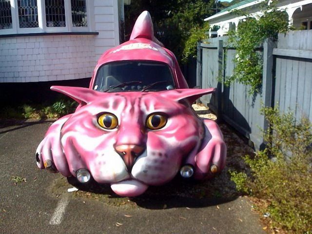 Morning Picdump
