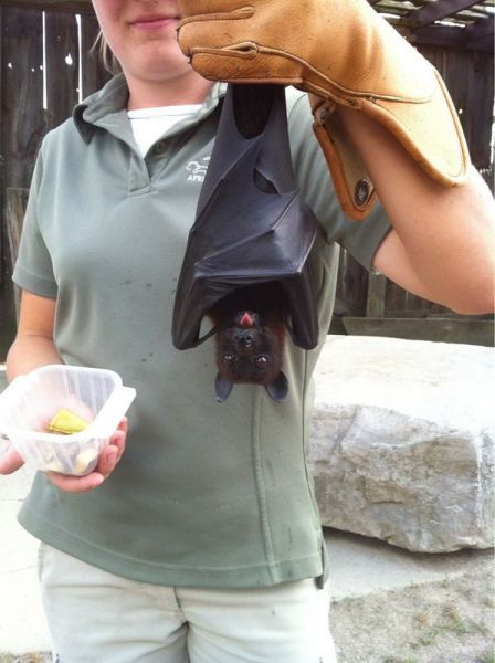 Morning Picdump