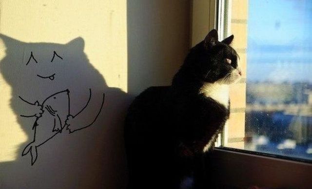 Morning Picdump
