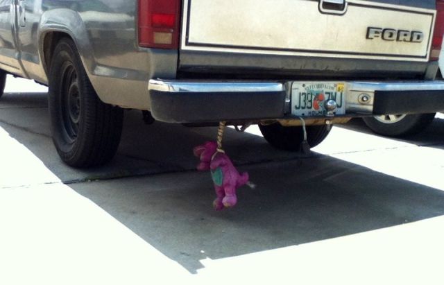 Morning Picdump