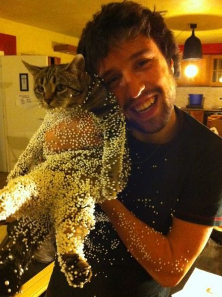 Morning Picdump