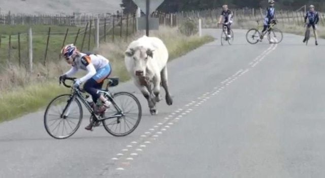 Daily Picdump [WEEKEND EDITION]