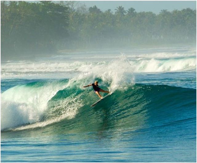 Awesome One-Armed Surfer
