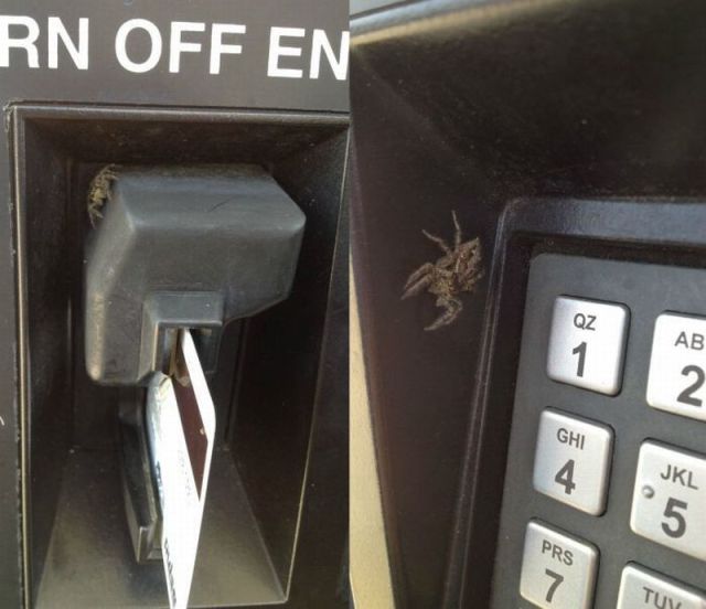 Morning Picdump