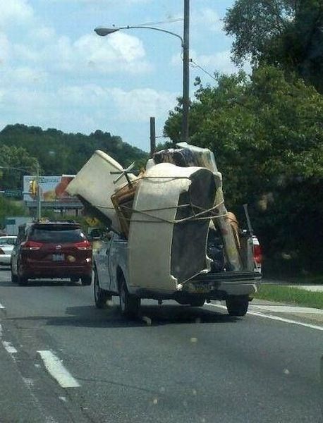 Daily Picdump