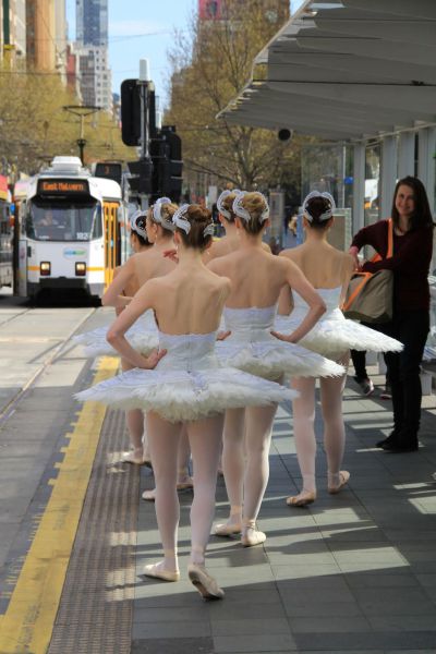 Morning Picdump