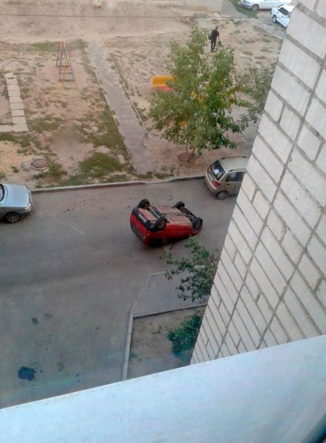 Morning Picdump