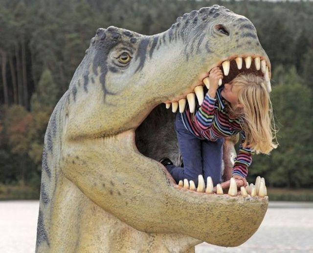Morning Picdump