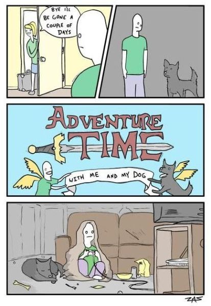 Morning Picdump