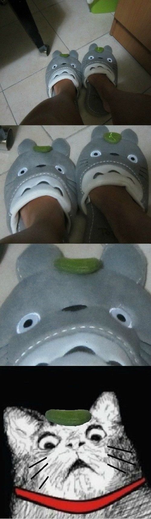 Morning Picdump