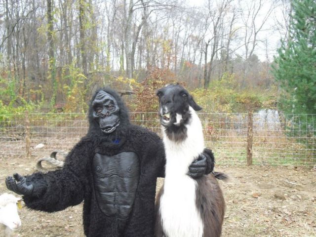 Morning Picdump