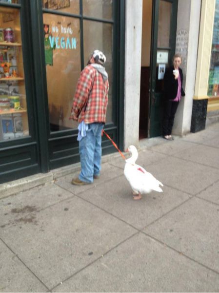 Fail&Win Picdump