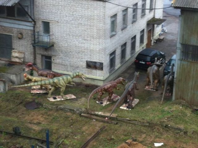Daily Picdump