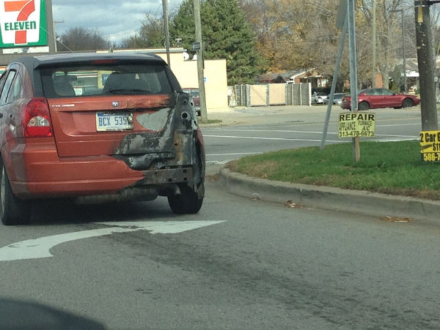 Daily Picdump