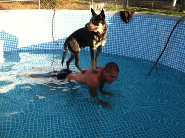 Morning Picdump