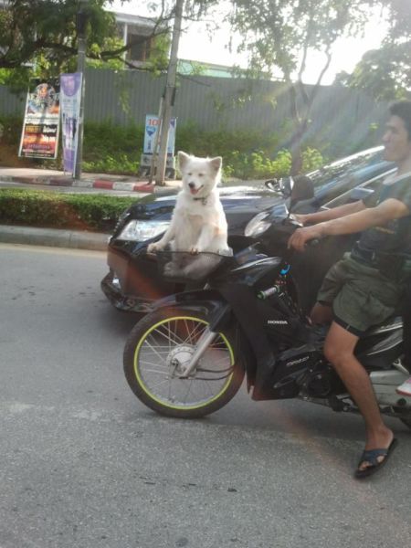 Morning Picdump