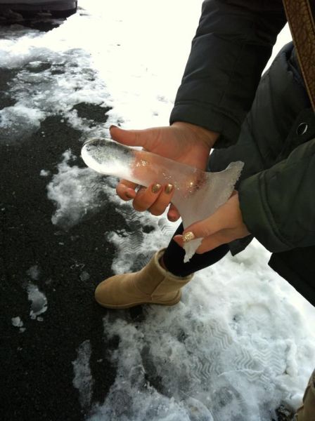 Morning Picdump
