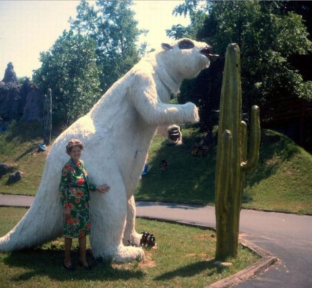 Morning Picdump