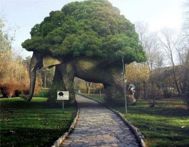 Morning Picdump