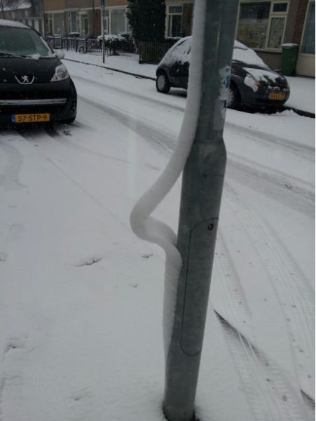 Morning Picdump