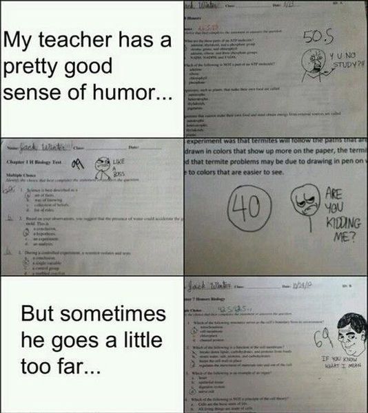 Morning Picdump