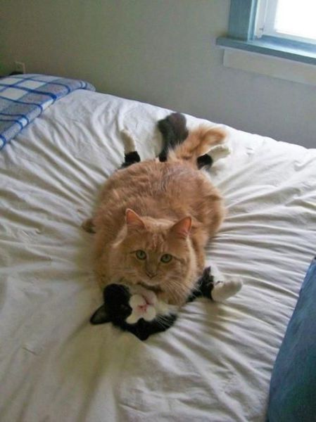Oops, Totally Busted