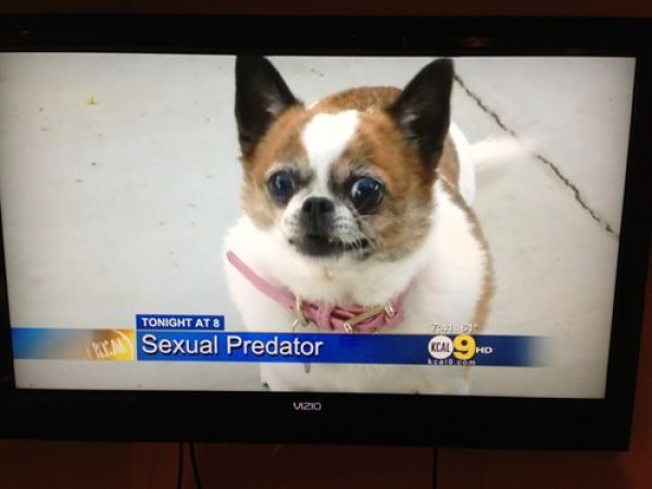 This Is Some Crazy Sh@!