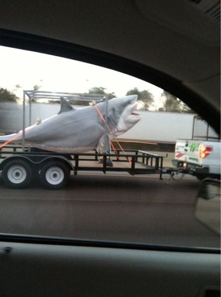 This Is Some Crazy Sh@!