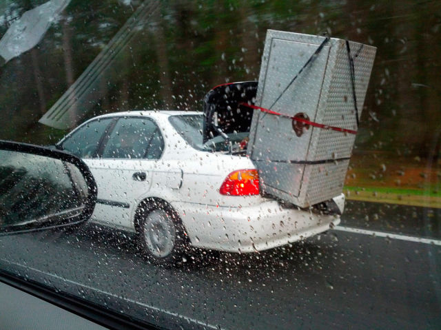 Morning Picdump