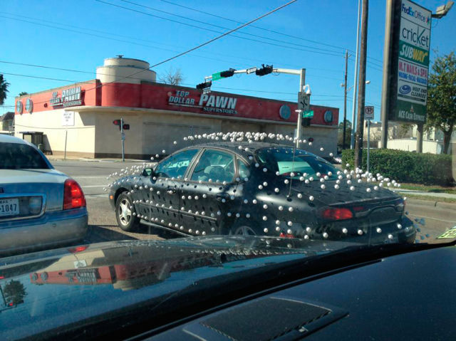 Morning Picdump
