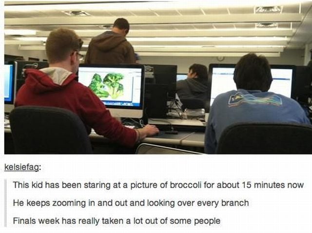 Morning Picdump
