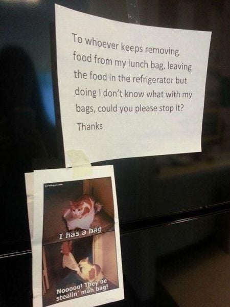 Morning Picdump