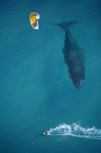 Timing Is Everything