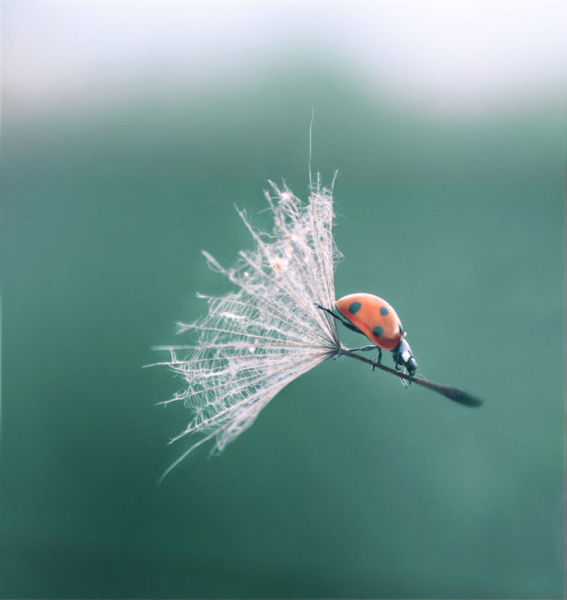Timing Is Everything