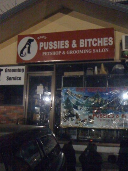 Morning Picdump