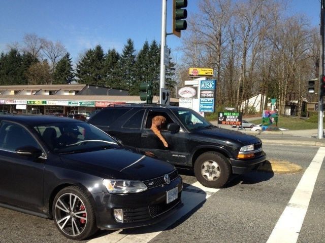 Morning Picdump