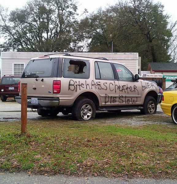 Morning Picdump