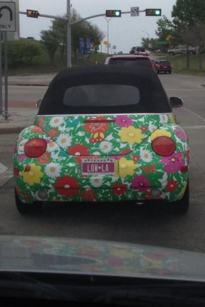 Morning Picdump
