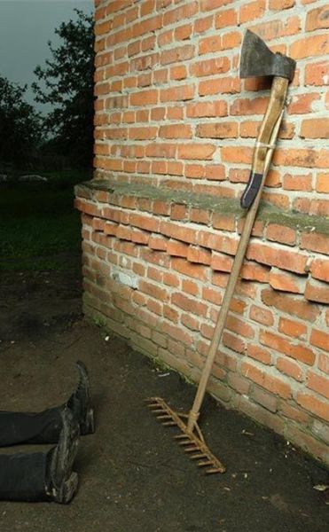 Morning Picdump