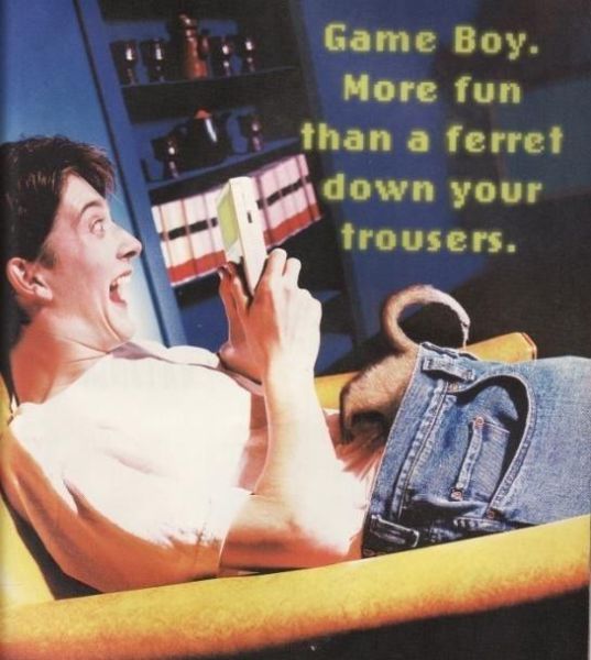 Morning Picdump