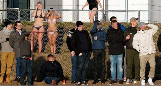 Morning Picdump