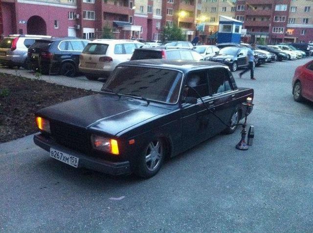 Morning Picdump
