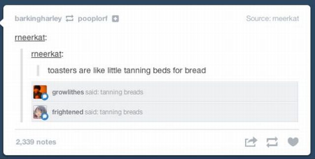 Morning Picdump