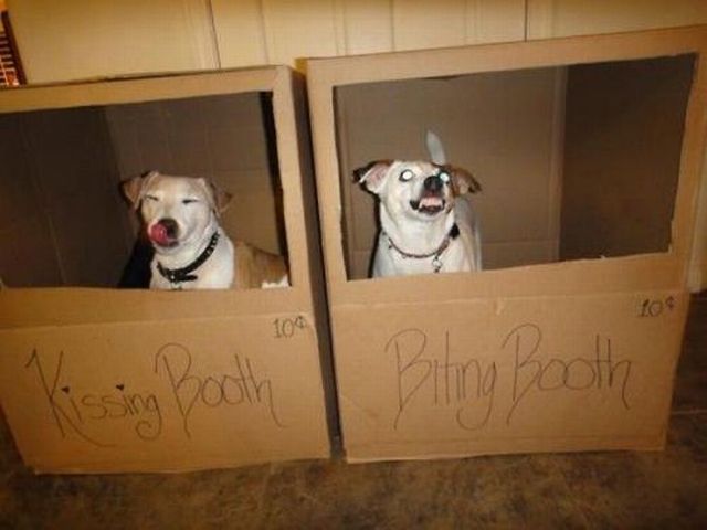 Morning Picdump