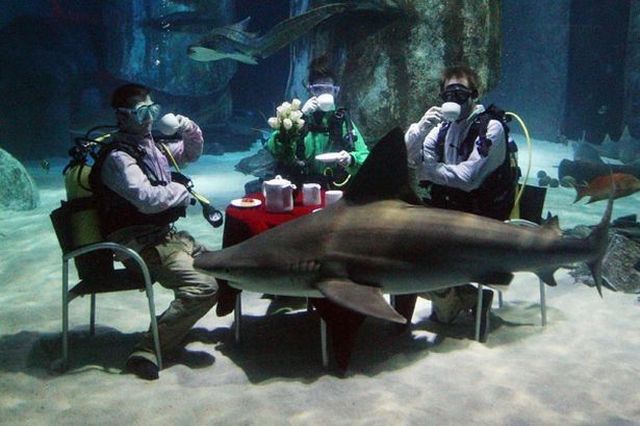 Morning Picdump