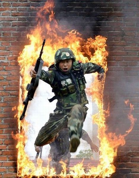 Morning Picdump
