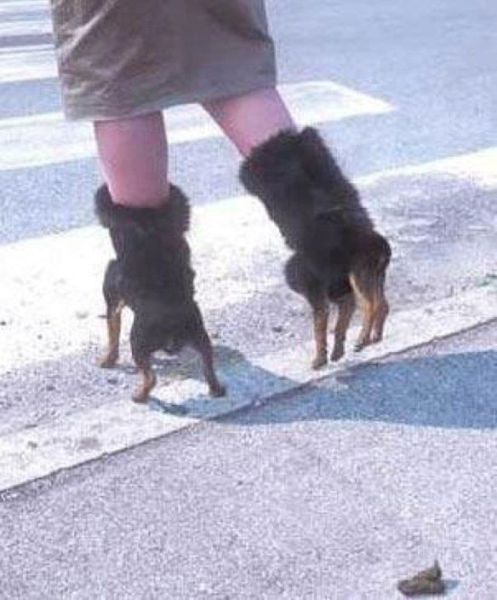 Morning Picdump