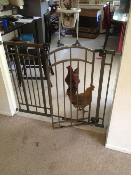 Morning Picdump